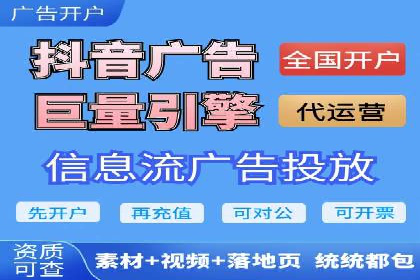 成功SEM服务案例分析报告